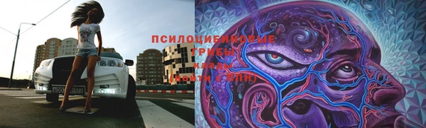 сатива Алексин