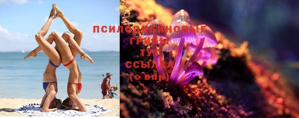 гидропоника Абаза