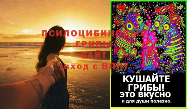 стафф Абинск